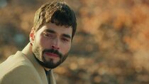 Hercai - Episode 11