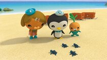 Octonauts - Episode 4 - The Baby Sea Turtles