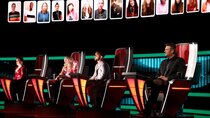 The Voice - Episode 12 - Live Top 17 Performances