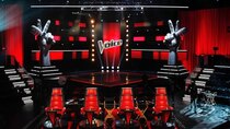 The Voice - Episode 23 - Live Top 10 Performances