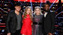 The Voice - Episode 17 - The Live Playoffs, Night 2
