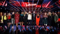 The Voice - Episode 17 - Live Top 13 Performances