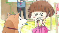 Inu to Neko Docchi mo Katteru to Mainichi Tanoshii - Episode 11 - The Dog Before the Previous Dog