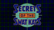 Swat Kats: The Radical Squadron - Episode 13 - Kat's Eye News Report