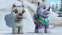 Paw Patrol - Episode 35 - Pups Save a White Wolf