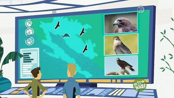 Wild Kratts Mystery Of The Mini Monkey Models Wild Kratts Season 6 Episode 4