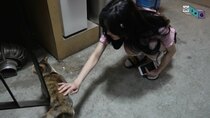 GFRIEND: G-ING - Episode 15 - Play With a Cat