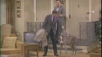 The Odd Couple - Episode 14 - And Leave the Greyhound to Us?