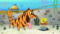 SpongeBob SquarePants - Episode 27 - Who R Zoo?
