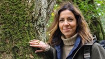 Cornwall and Devon Walks with Julia Bradbury - Episode 8 - Frenchman's Creek - Helford to Frenchman's Creek Loop