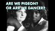 Are We Pigeon? Or Are We Dancer?