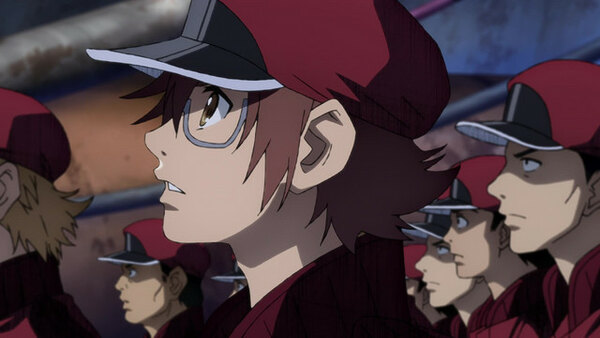 Hataraku Saibou Black Episode 3 Watch Hataraku Saibou Black E03 Online