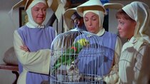 The Flying Nun - Episode 7 - Polly Wants a Cracked Head