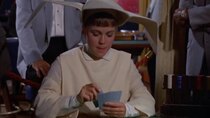 The Flying Nun - Episode 20 - The Hot Spell