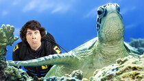 Andy's Aquatic Adventures - Episode 1 - Andy and the Green Sea Turtles