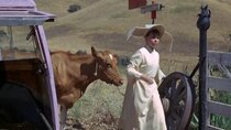 The Flying Nun - Episode 20 - The Moo is Blue