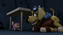 Paw Patrol - Episode 38 - Moto Pups: Pups Save the Kitties