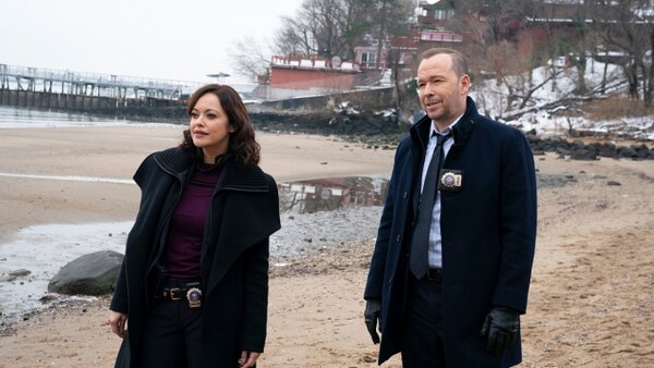 Blue Bloods - S11E08 - More Than Meets the Eye