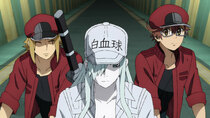 Hataraku Saibou Black - Episode 8 - Calves, Pulmonary Embolism, and Quick Thinking