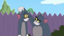 The Tom and Jerry Show - Episode 5 - Cave Cat