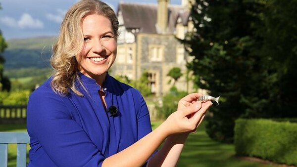 Antiques Roadshow - S43E05 - Bodnant Garden 1