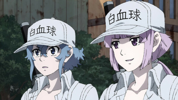 Joeschmo's Gears and Grounds: Hataraku Saibou Black - Episode 11 - White  Blood Cells Jolted