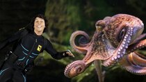 Andy's Aquatic Adventures - Episode 7 - Andy and the Common Octopus