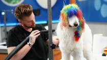 Pooch Perfect (US) - Episode 3 - Live Loud and Groom Proud