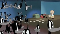 Looney Tunes Cartoons - Episode 66 - Duplicate Daffy