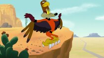 Looney Tunes Cartoons - Episode 88 - Swoop De Doo!