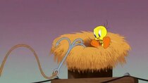 Looney Tunes Cartoons - Episode 83 - Grappling Hook