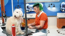 Pooch Perfect (US) - Episode 7 - A Dog For All Seasons
