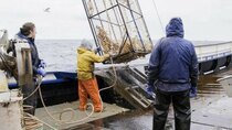 Deadliest Catch - Episode 5 - Force Majeure