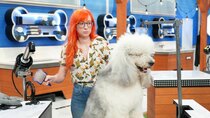 Pooch Perfect (US) - Episode 8 - The Grand Fur-nalé