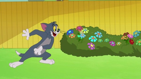 The Tom And Jerry Show Season 4 Episode 53 The Tom And Jerry Show Season 4 Episode 53