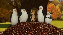 The Penguins of Madagascar - Episode 17 - Nuts to You