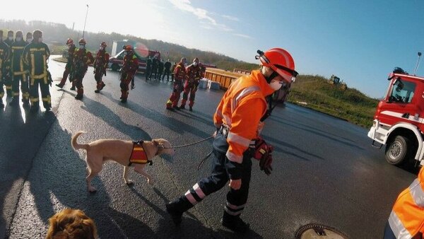 Feuer & Flamme - S04E05 - Rettung nach Verkehrsunfall | Übung mit den Höhenrettern und der Rettungshundestaffel