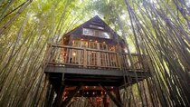The World's Most Amazing Vacation Rentals - Episode 7 - Trees 'N Zzzs