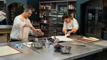 Bake Off: The Professionals - Episode 8 - Black Forest Gateaux, Roulades & Sugar Chocolate Showpieces