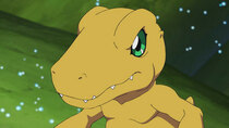 Digimon Adventure: - Episode 57 - Contact from the Catastrophe