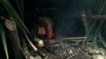 Naked and Afraid - Episode 11 - Trouble in Paradise