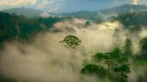 Eden: Untamed Planet - Episode 1 - Borneo: Sacred Forest