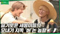 GOING SEVENTEEN - Episode 14 - EP.14. Planting Rice and Making Bets (1)