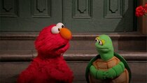 Sesame Street - Episode 33 - Turtle Tunes