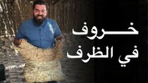 The Most Delicious Food in The World - Episode 3 - الخروف المشوي في سلطنة عمان - الشواء...