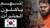 The Most Delicious Food in The World - Episode 16 - مغامرة أكل الشوارع في كوريا الجنوبية...