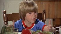 Eight is Enough - Episode 3 - Pieces of Eight