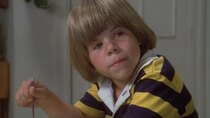 Eight is Enough - Episode 3 - Triangles