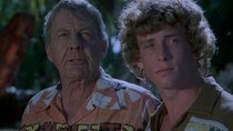Eight is Enough - Episode 8 - Fathers and Other Strangers (1)