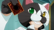 Yuu Gi Ou: Sevens - Episode 17 - Purr-plexed!